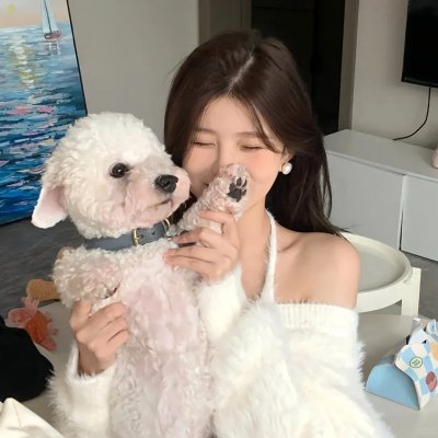 完美计划
